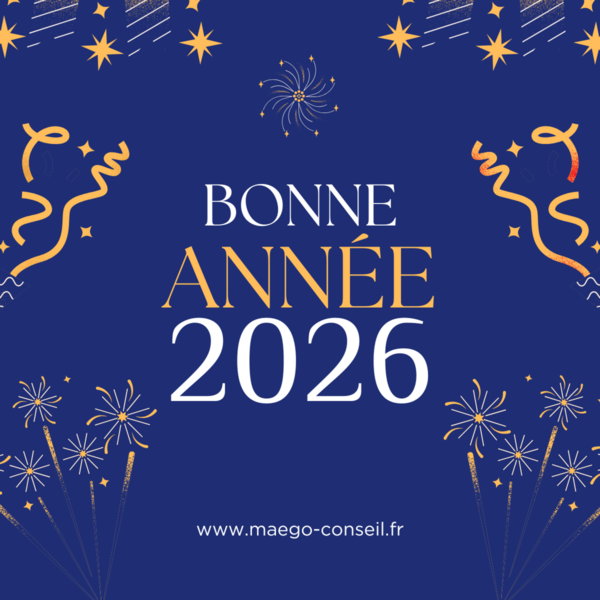 Bonne Année 2026 de Maego Conseil