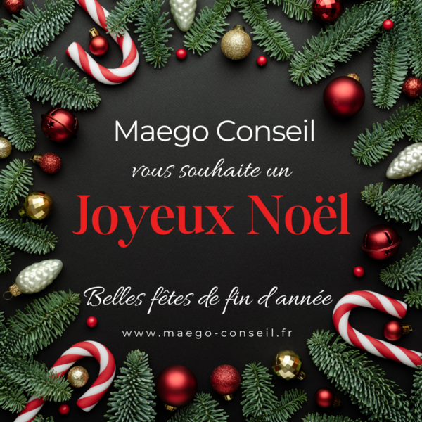 Joyeux Noël de Maego Conseil